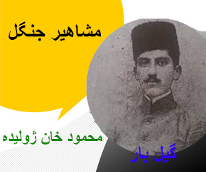محمود خان ژولیده
